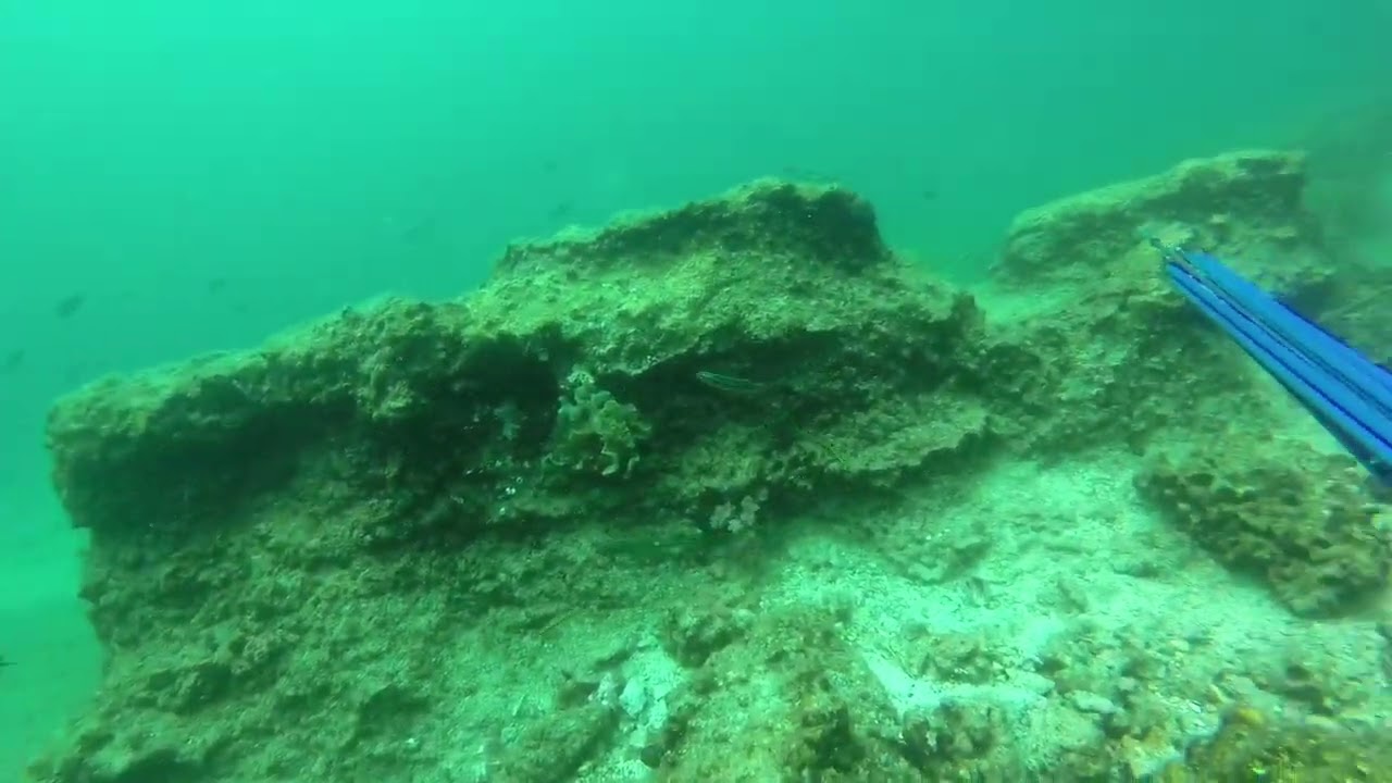 Labrax 95 &Sigma;&eta;&mu;ά&delta;&iota; &sigma;&tau;&omicron; &kappa;έ&nu;&tau;&rho;&omicron; &mu;&iota;&kappa;&rho;&omicron;ύ &lambda;&omicron;ύ&tau;&sigma;&omicron;&upsilon; &sigma;&tau;&alpha; &rho;&eta;&chi;ά!!!