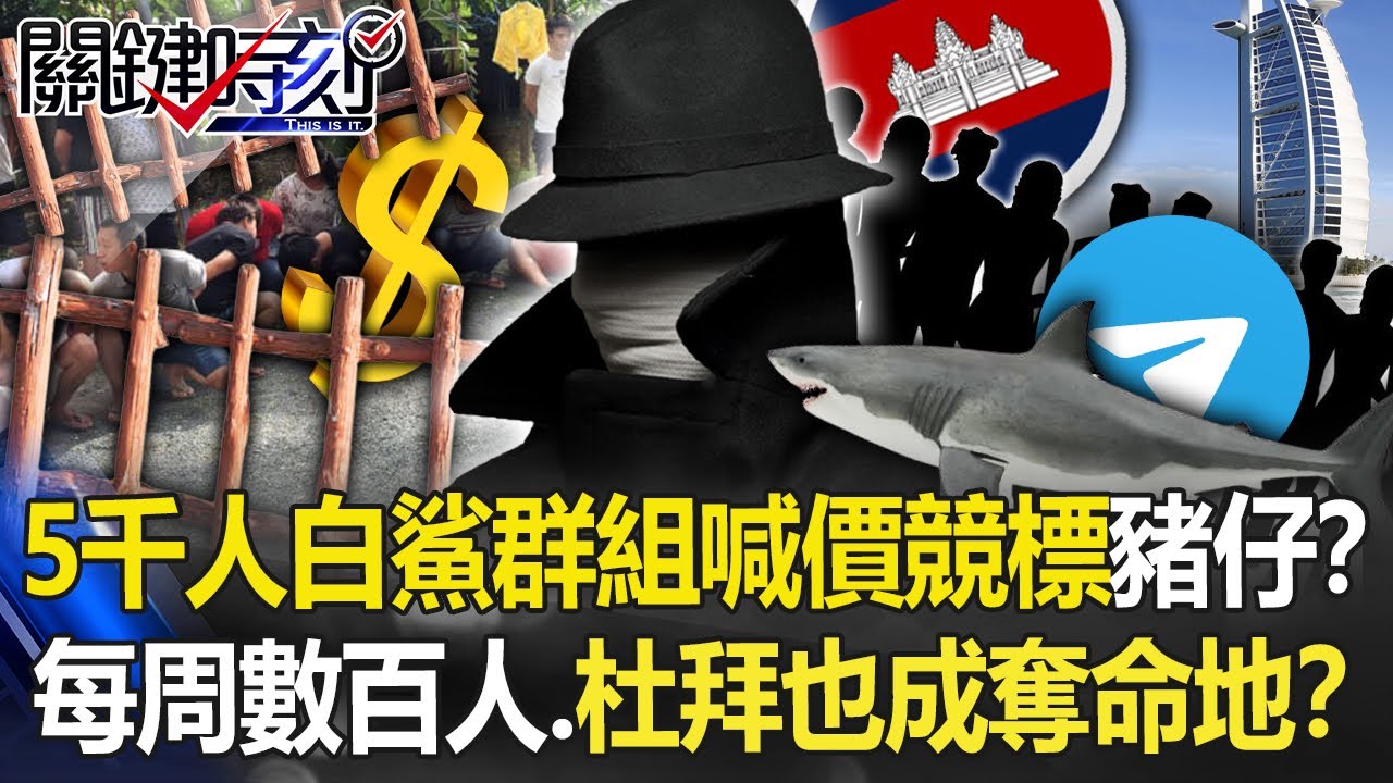 【柬埔寨詐騙】5千人「白鯊群組」喊價競標豬仔！？ 每周交易數百人…杜拜也成奪命之地！？【關鍵時刻】20220817-4 劉寶傑 黃世聰 李奇嶽 李正皓 吳子嘉 姚惠珍