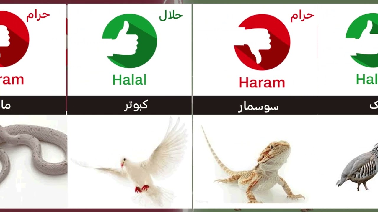 اگر میفهمیدی #حرامه هیچ وقت ازش نمی خوردی