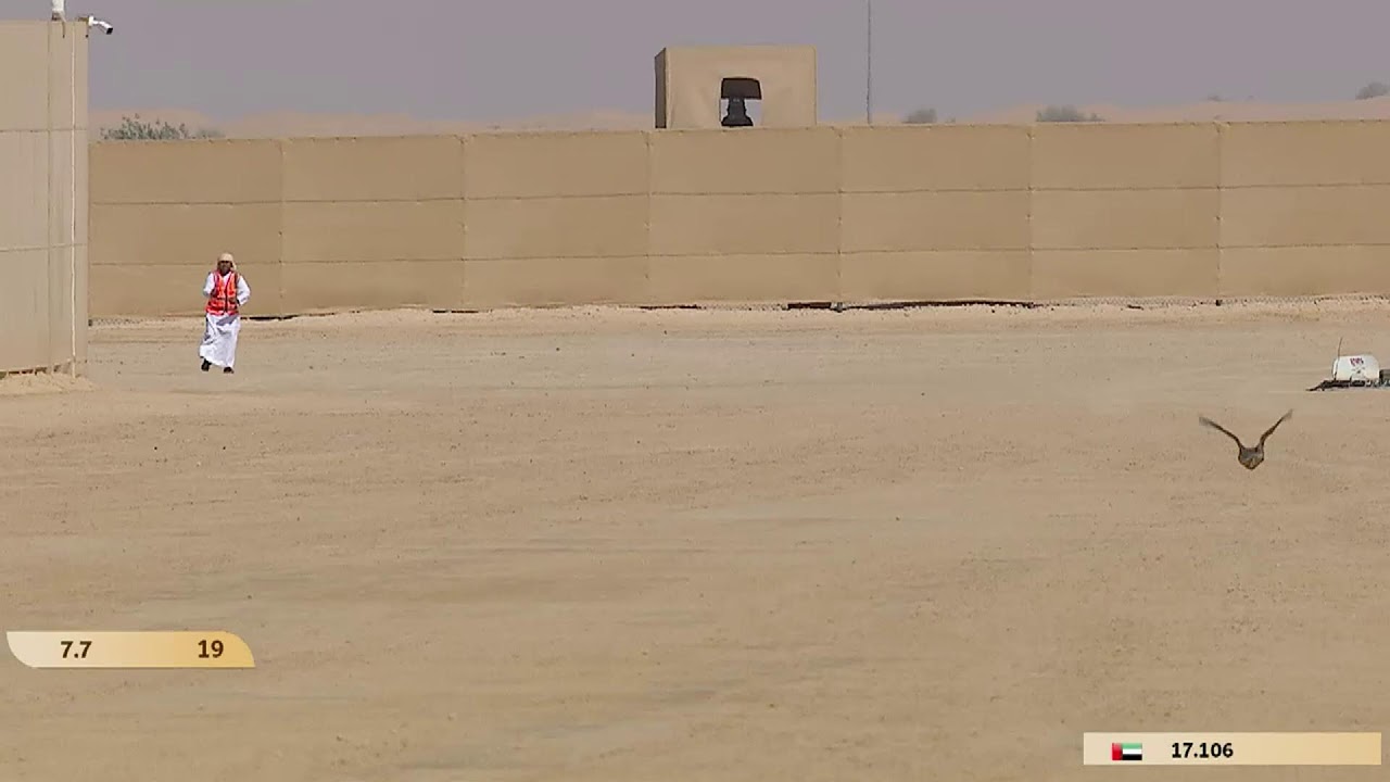 كاس محمد بن راشد لسباقات الصقور 2026 - الشيوخ - جير شاهين