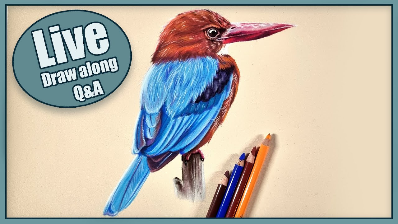 Draw a KINGFISHER with me | PART 2 | Pastel pencils| LIVESTREAM