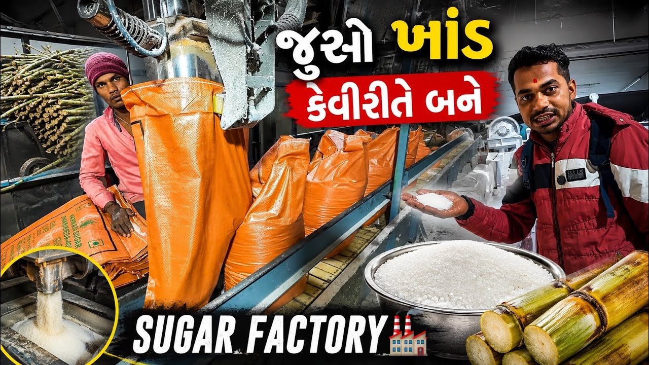 Sugar Factory 🏭 | ખાંડ કેવી રીતે બને 🤔 નર્મદા ફેક્ટરી | Dharikheda Sugar | Narmada sugar 