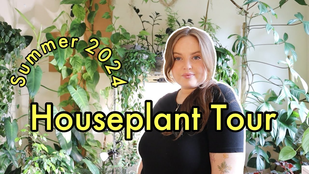 Summer Houseplant Tour 2024 🌿 Full Walkthrough | Every Plant in my Large Collection