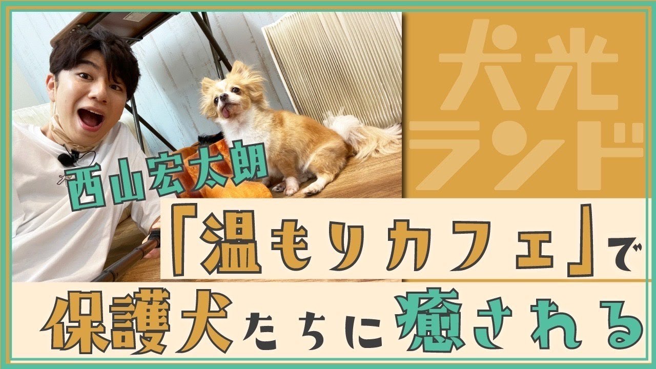 【保護犬たちに癒される】西山宏太朗の犬光ランド【前編】