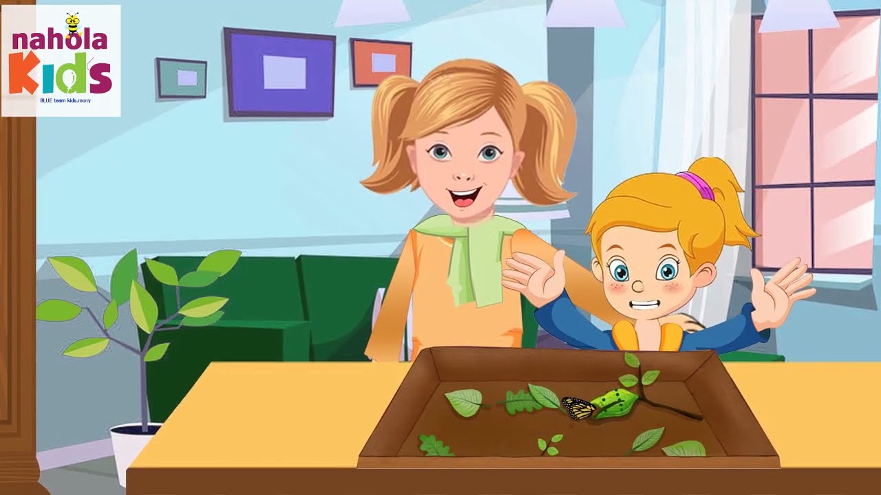 دورة حياة الفراشة _ قصة امل والهدية_قصص تعليمية للأطفال _ نحولة كيدز