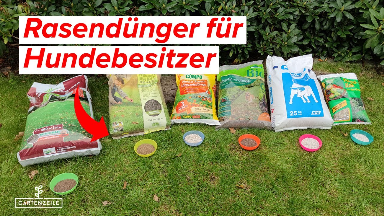 Rasendünger für Hundebesitzer - Darauf solltest du unbedingt achten!