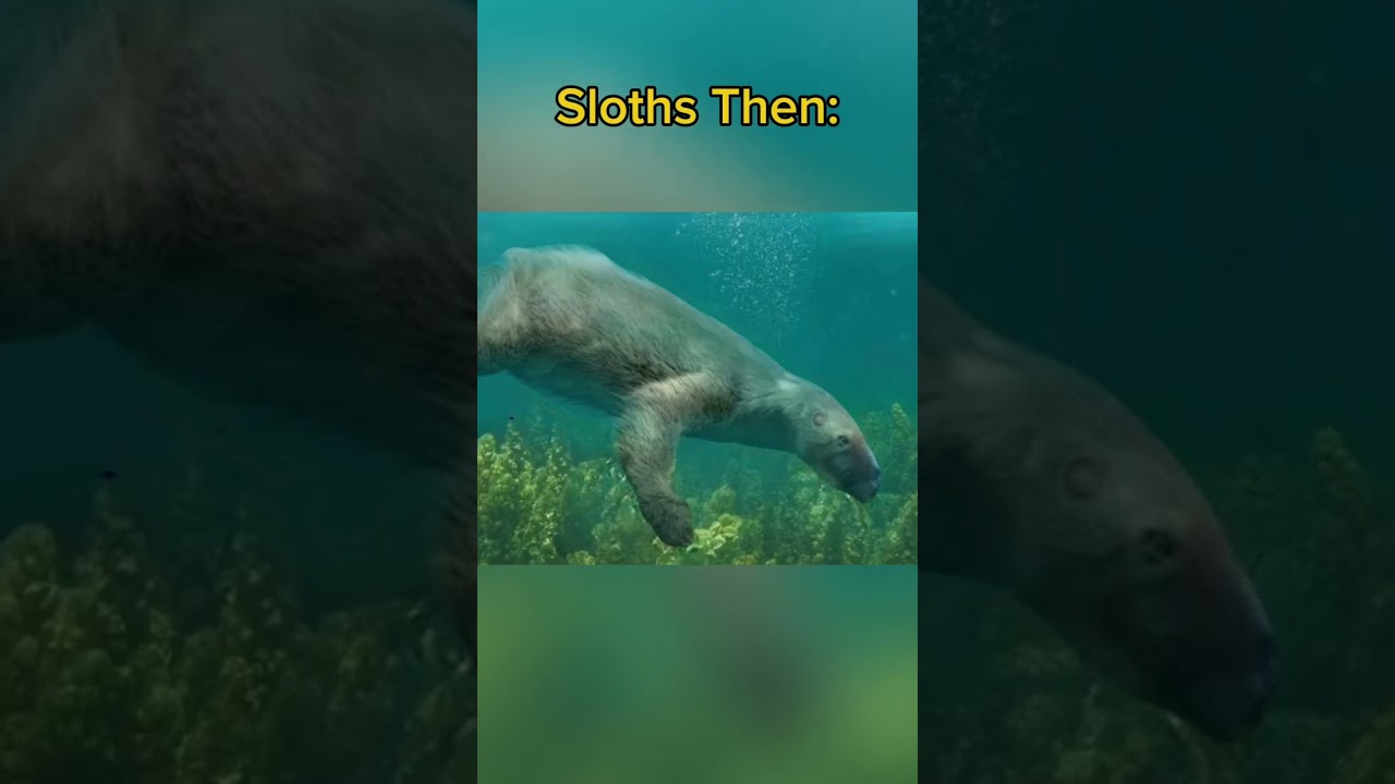 Ground Sloths. #shorts  #extinct #sloth