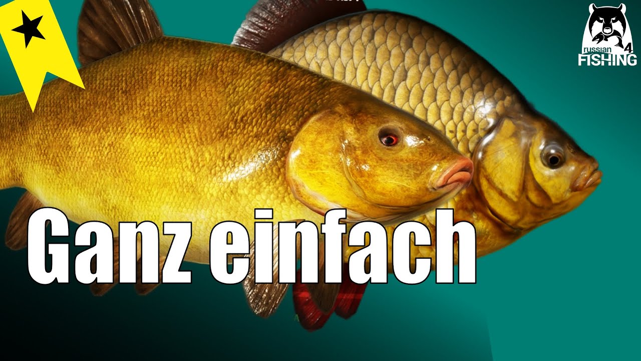 Russian Fishing 4 - Moskito See - Grundangeln ganz einfach, Haarmontage auf Schleie Giebel Karausche