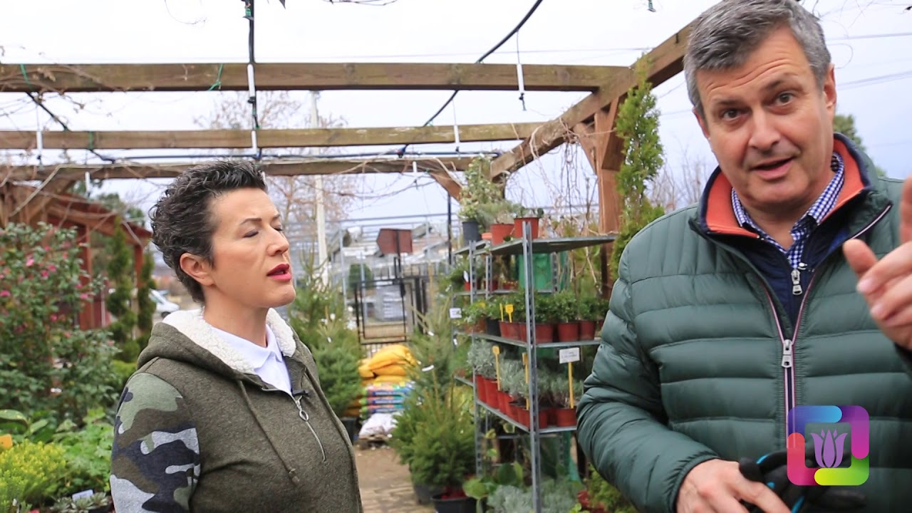Cvetni kutak ep. 8 02.01.2020. Green Corner, Jelica i Boban Gromović, Park Manjež