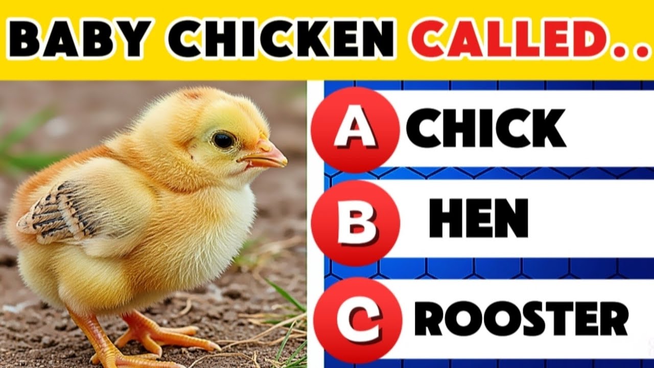 Guess The Name Of ANIMALS Family Now | Animal Quiz Challenge