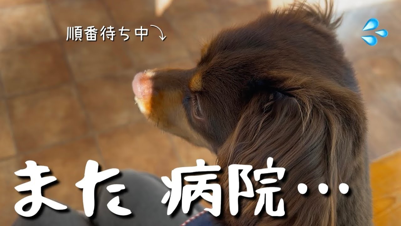 【絶望】 また……病院へ行くことになりました。
