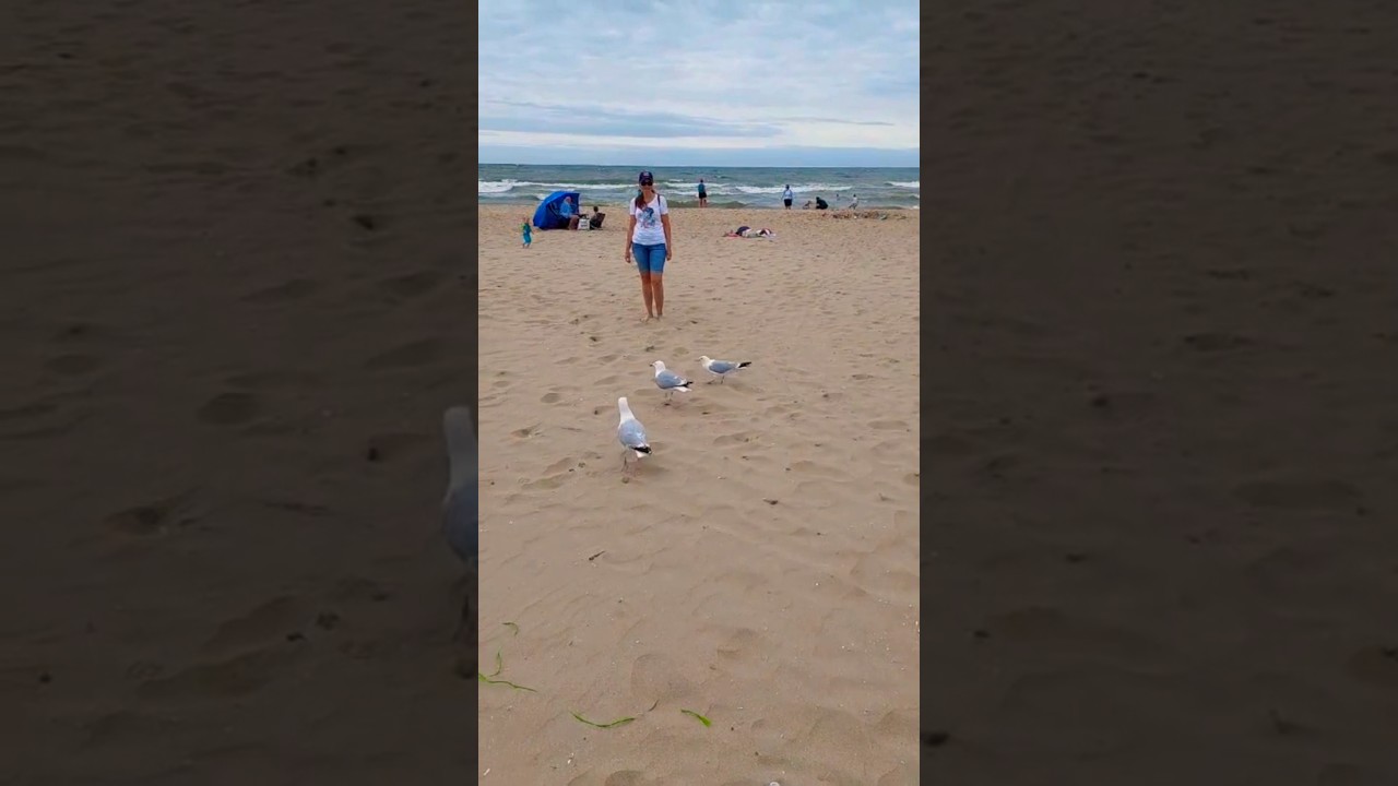 🏄Katwijk aan Zee Beach/Північне море, Нідерланди