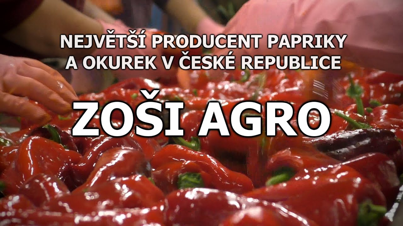 ZOŠI AGRO, Moderní produkce zeleniny