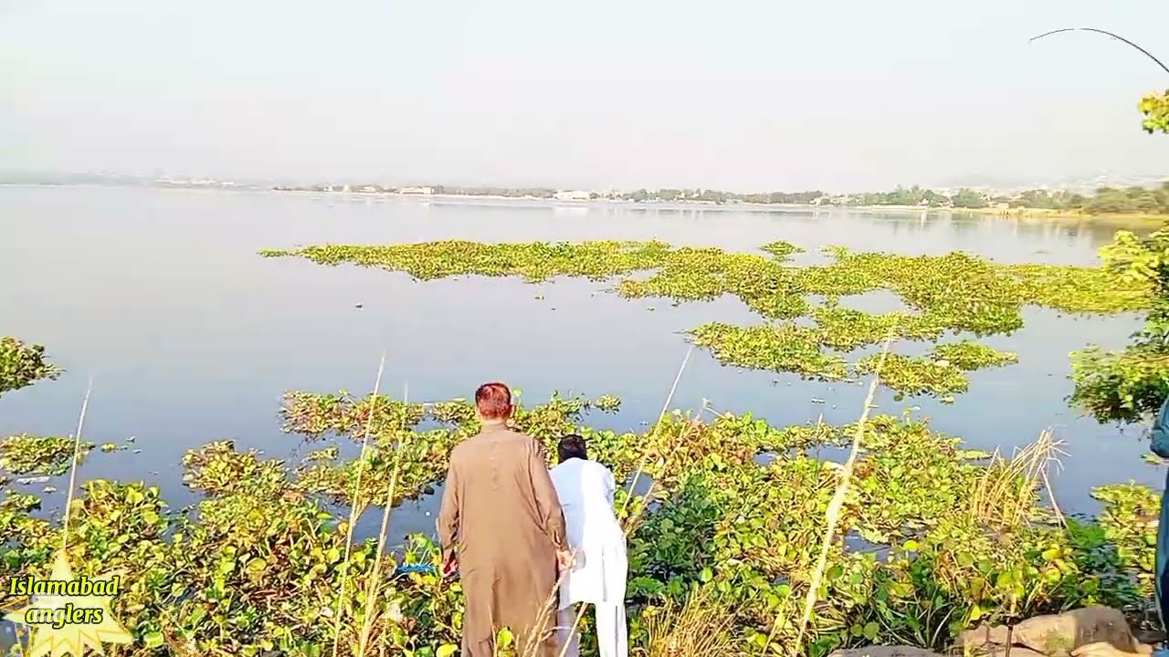 Rawal dam fishing new update 2025 || carp fishing catching_islambad anglers 
