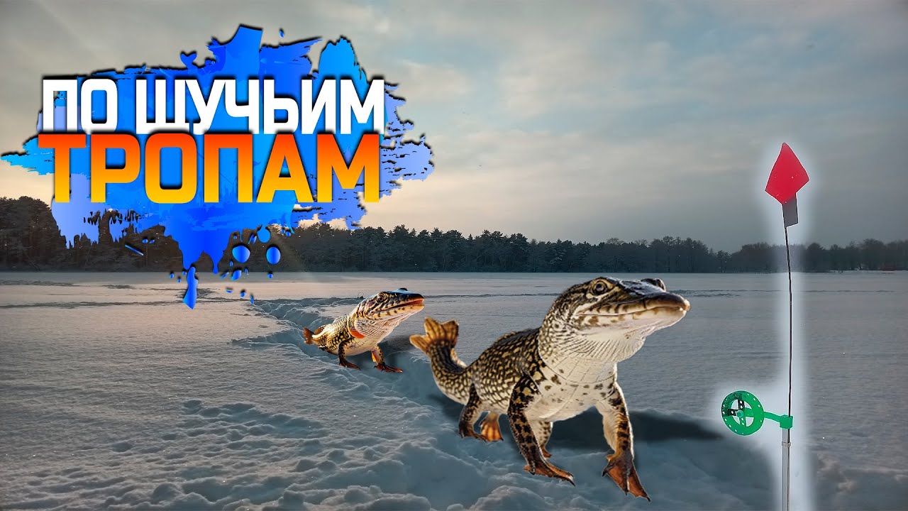 Один водоем два дня рыбалки. Жерлицы.