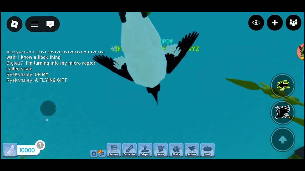 New razorbill in feather family