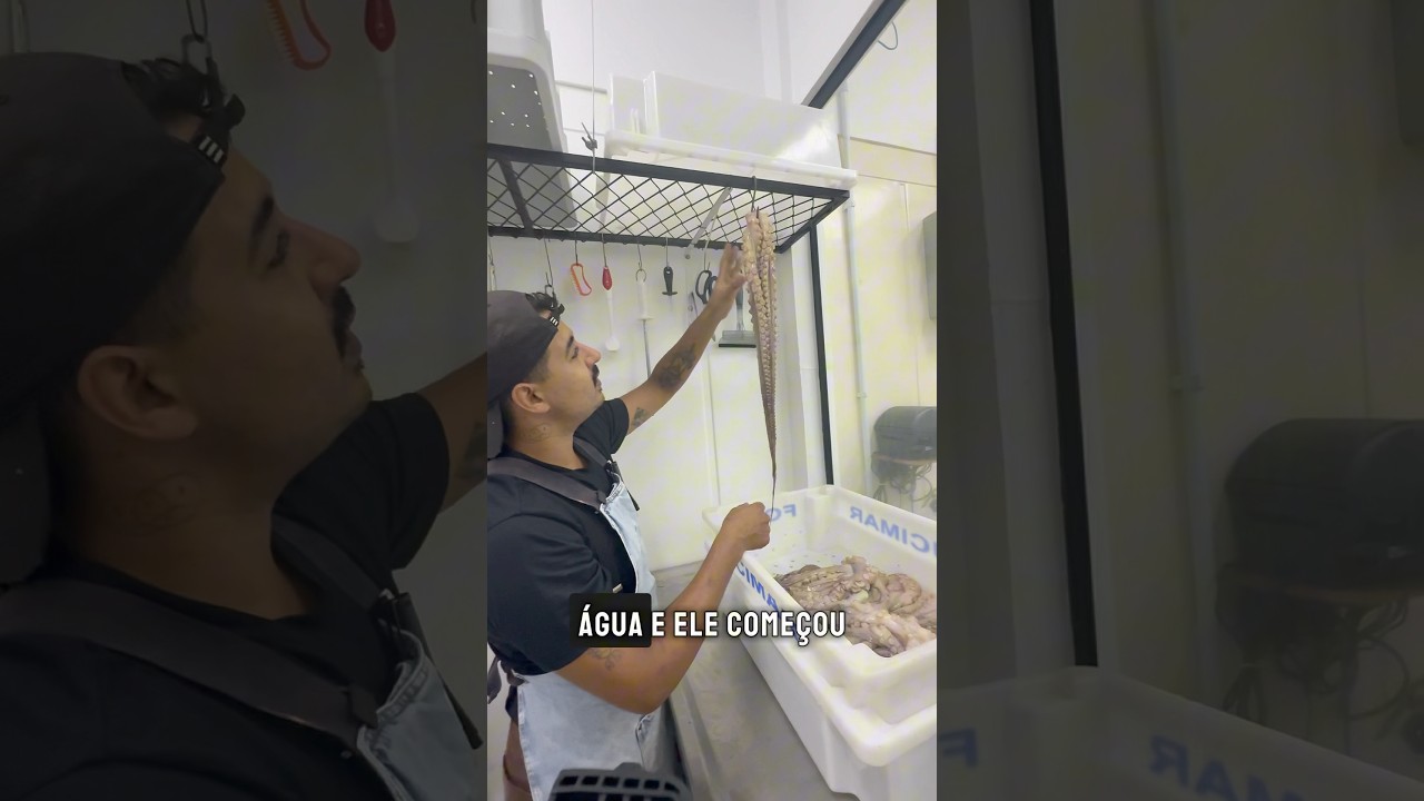 Eu tenho o melhor trabalho do mundo!