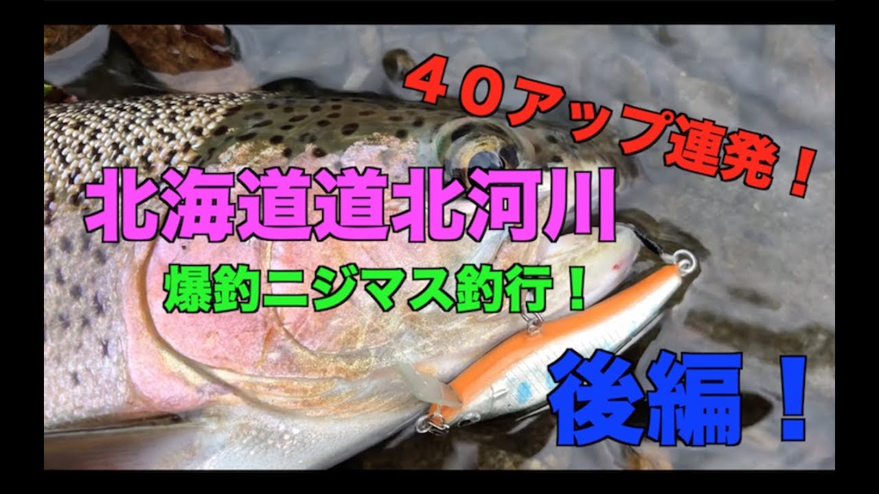 40cmオーバー連発！北海道道北河川で渓流ルアー【北海道渓流ルアー】（後編）