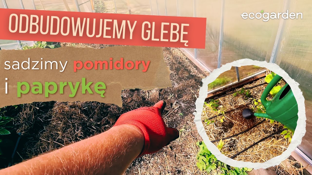 Zaczynamy nowy sezon z pomidorem i papryką! | S02E01 Korekta gleby i sadzenie