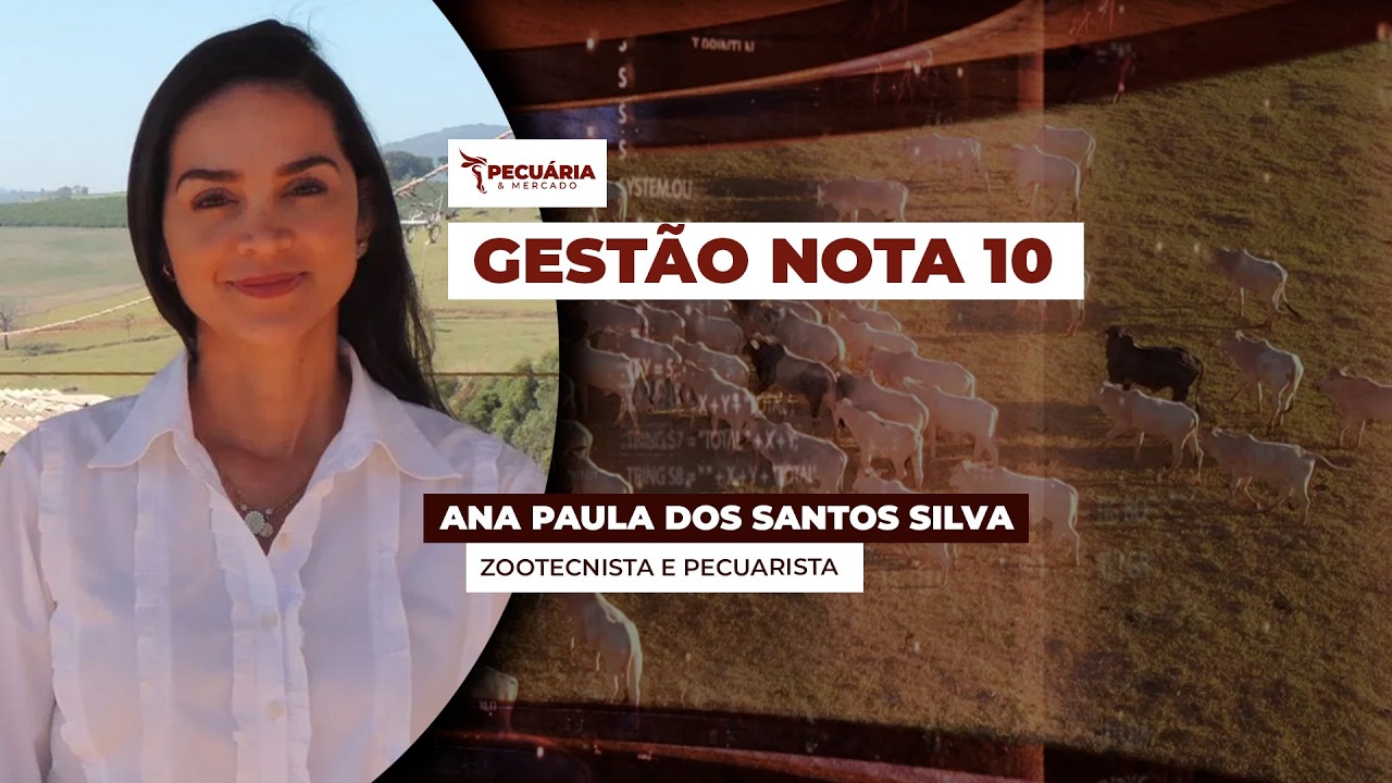 Fazenda Cigana, no Sul de Minas, se tornou referência em gestão e rentabilidade na pecuária de corte
