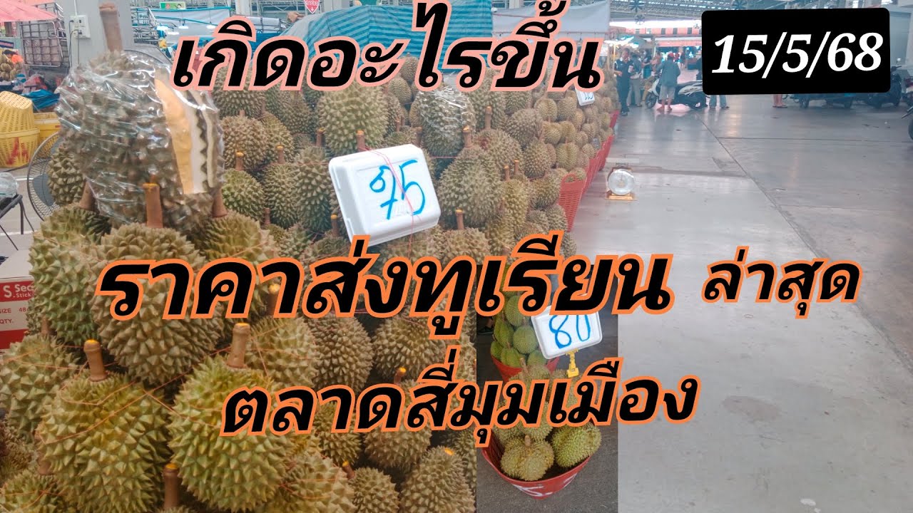 อัพเดท ราคาส่งทุเรียน ตลาดสี่มุมเมือง ล่าสุด ราคาลงแล้ว  80  90  100  ยกเข่ง ช่วงนี้ราคาถุก