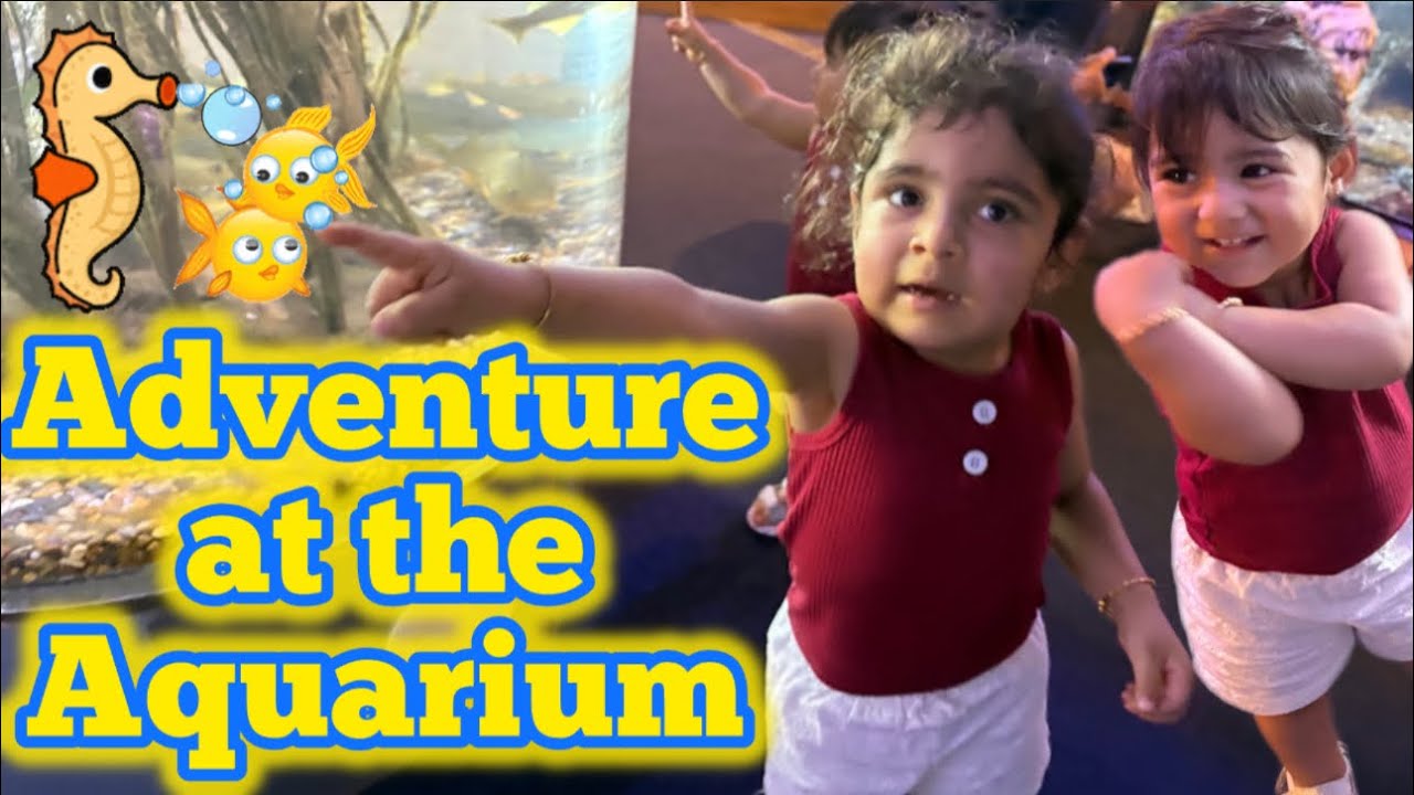 Aquarium Trip with the Kids – So Many Fishes!🐠