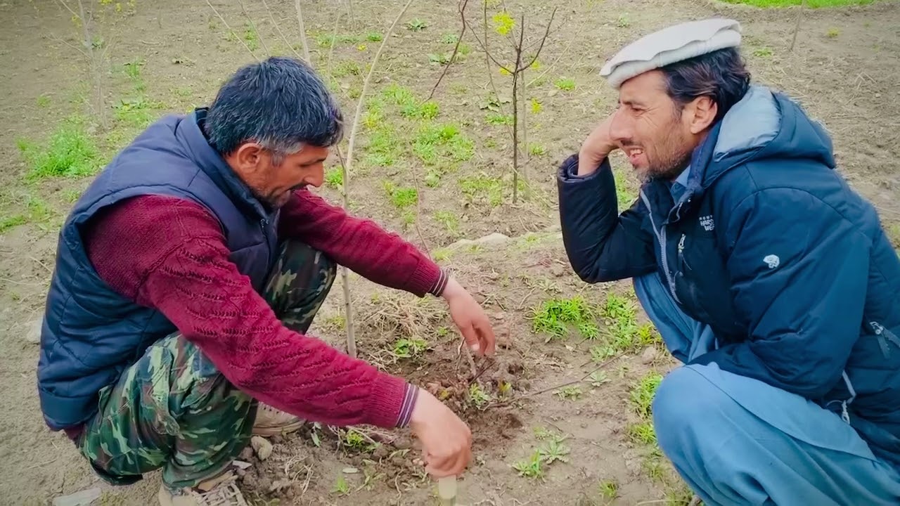 Real funny#khowar #video Jojo sangan and chodree
