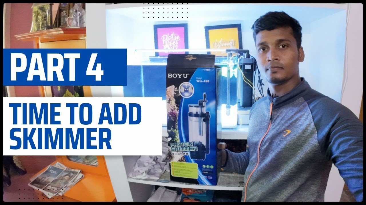 நம்ம tank la 🔥 protein skimmer add பண்ணியாச்சு🤩😱|saltwater tank update| #aquarium #fishtank #tamil