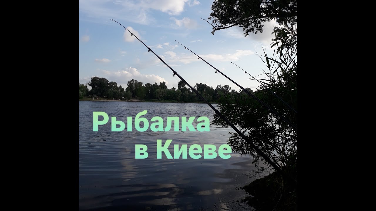 Рыбалка на Донку в Киеве зал.Верблюд! Подлещик,плотва,синец.