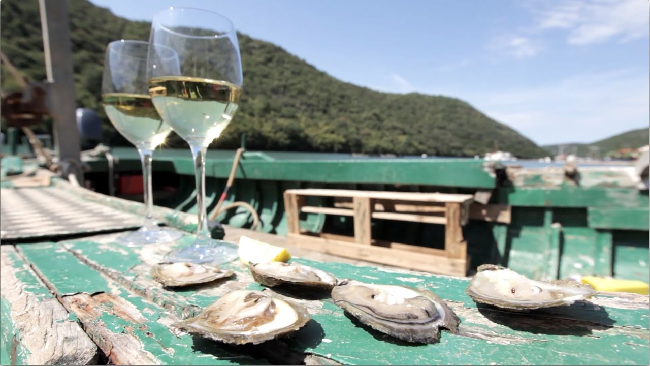 Austern und Muscheln aus dem Limski Kanal in Istrien