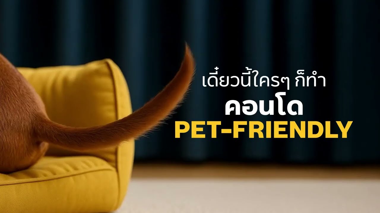 26th MAJOR DEVELOPMENT LONGTAIL HAPPETNESS (TEASER)