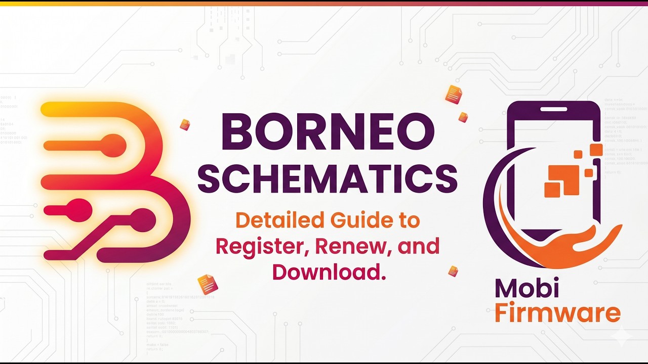 Borneo Schematics Full Setup Guide 2026: Buy, Register & Renew