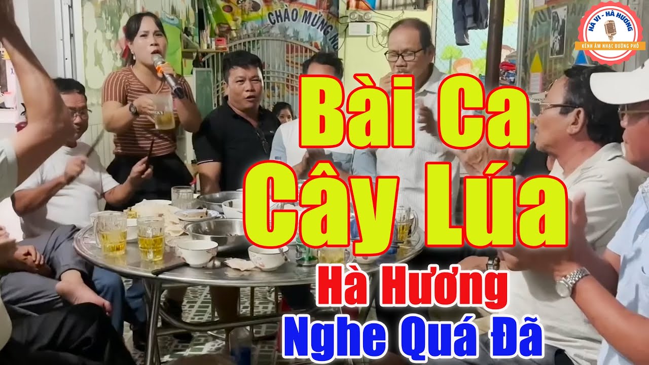 B&agrave;i Ca C&acirc;y L&uacute;a - Ngẫu Hứng L&uacute;c Say Chị G&aacute;i Khiến Cả Bữa Tiệc Đứng Ngồi Kh&ocirc;ng Y&ecirc;n | H&agrave; Hương