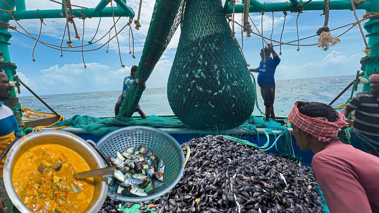 AMAZING 🤩 MASSIVE BLACK KLATHI FISHES CATCH! 🌊 + Mouth-Watering Fish Curry”