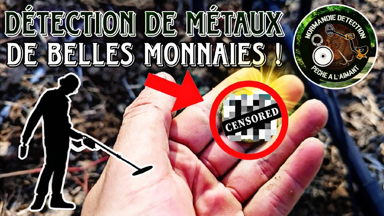 Détection de métaux - Monnaies incroyables