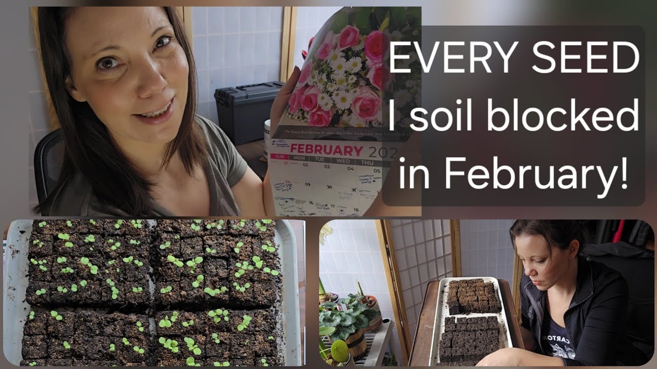 February Review: ALL the Seeds I Soil Blocked for my FIRST indoor seed-starting journey