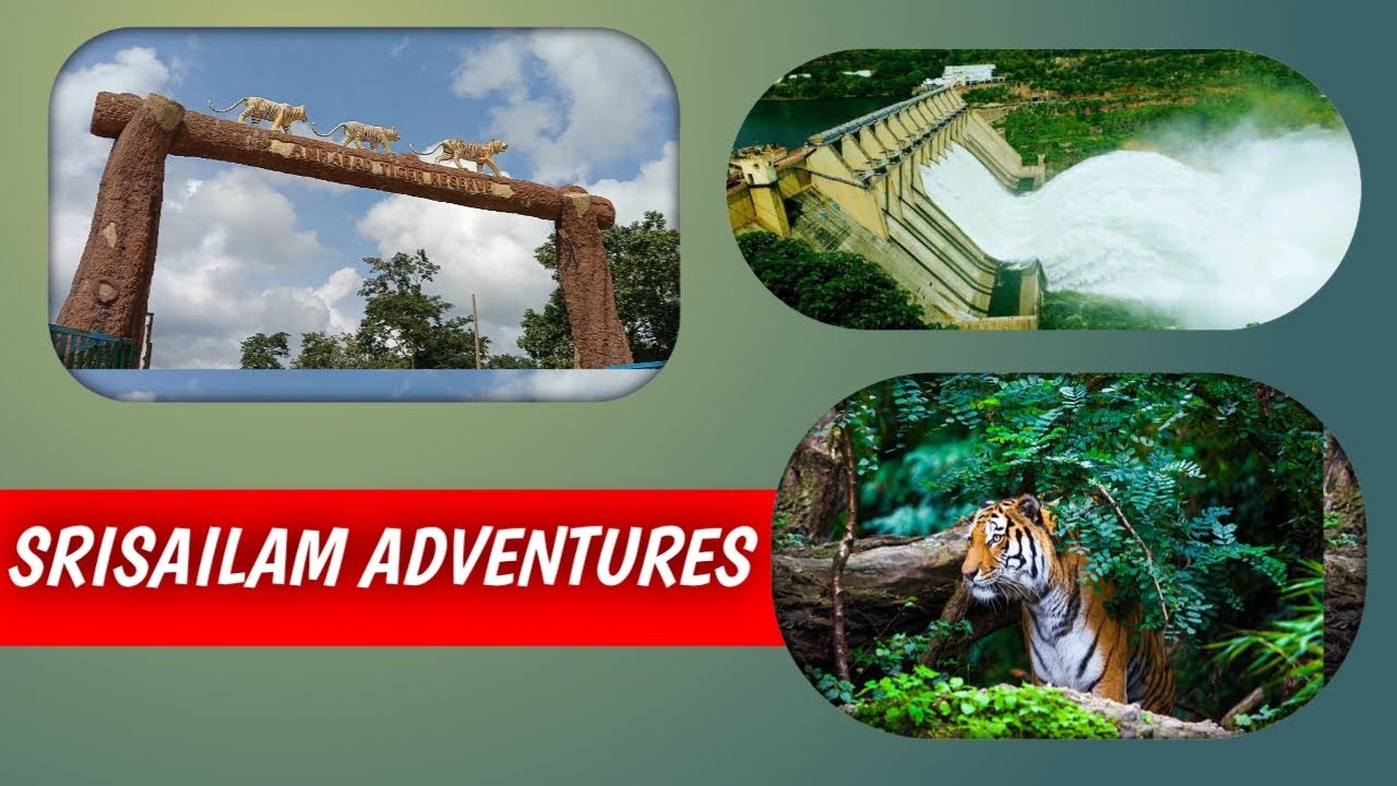 Srisailam Dam water lavel srisailam Adventure: Forest, Dam, and Epic Views, Ghat road riding.