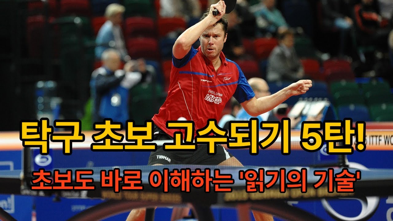 탁구 초보 고수되기 5탄_초보도 바로 이해하는 '읽기의 기술'