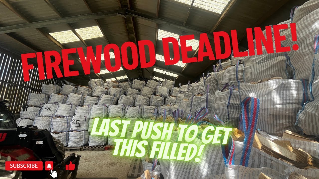 Day 113 - Firewood Deadline!