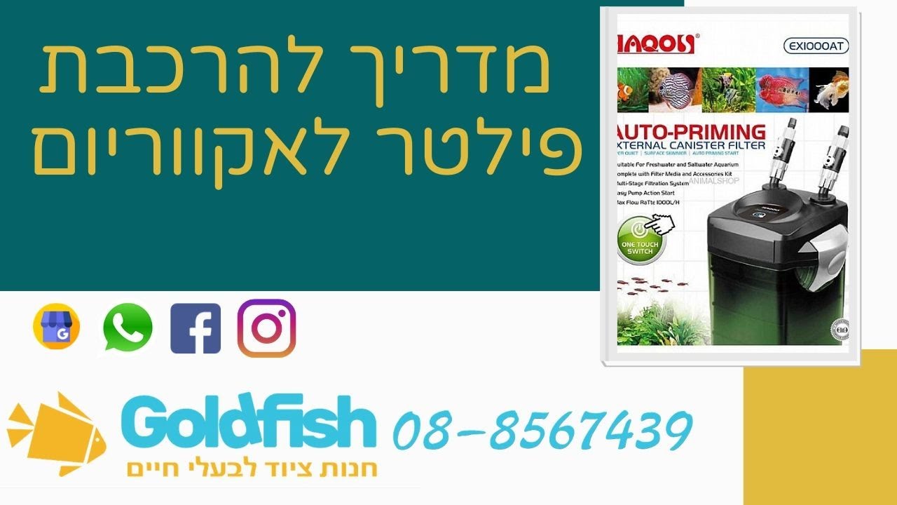 מדריך להרכבת פילטר לאקווריום גולד פיש חנות חיות יבנה