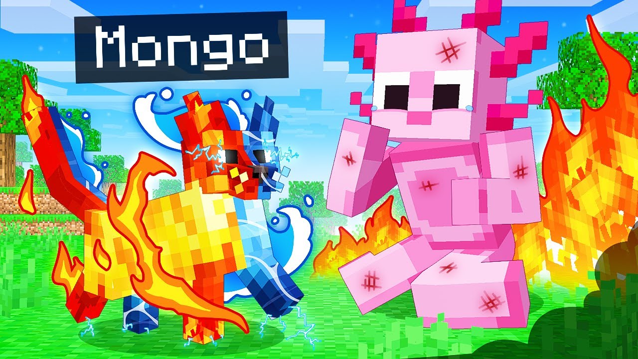 I Pretended to be an ELEMENTAL CAT in Minecraft!