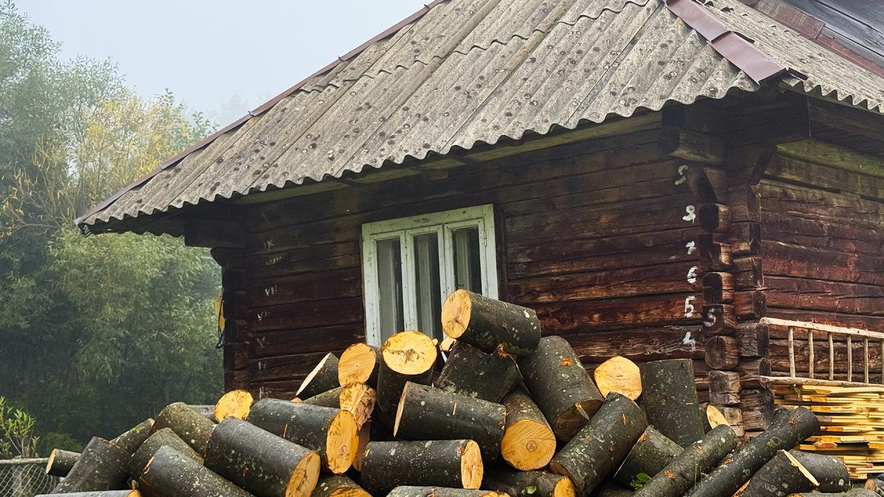 Abandoned Carpathian Cabin Restoration | Life with Family in the Mountains