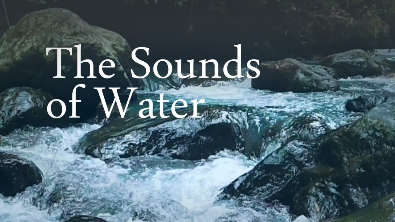 Relaxing Stream Sounds for relaxation, study, Sleep | Calm Water White Noise