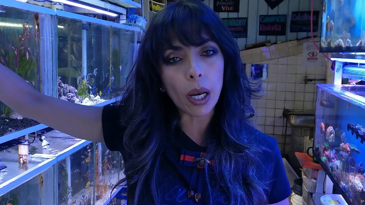 Peces marinos, y para ti ¿cual es tu favorito?