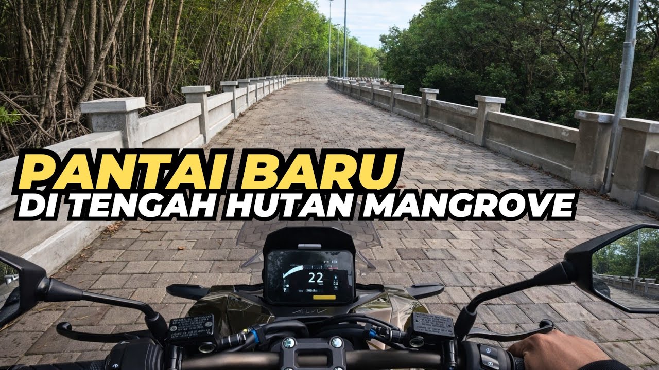 PANTAI SIDAKARYA DI TENGAH HUTAN MANGROVE | Denpasar Bali Update 