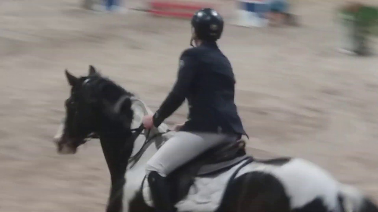 1° class Giacomo Casadei  e Anakin 3 nov 2019 a fasi