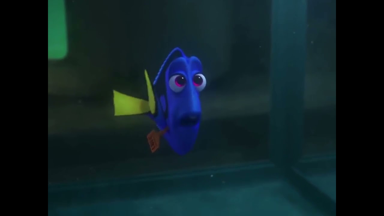 Finding_Dory Coffin Dance Song (cover)