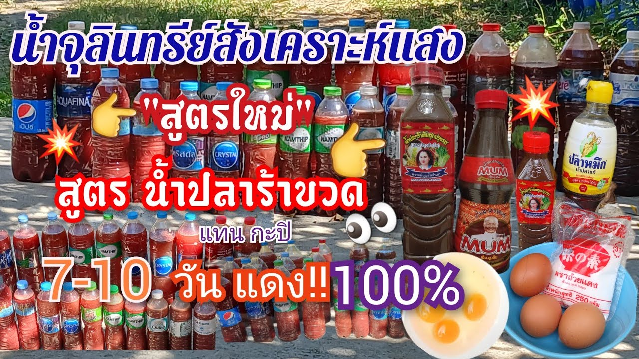 💥เคล็ดลับ น้ำปลาร้าขวด  ทำน้ำจุลินทรีย์สังเคราะห์แสง  7-10 วัน  แดง 100% ❤️