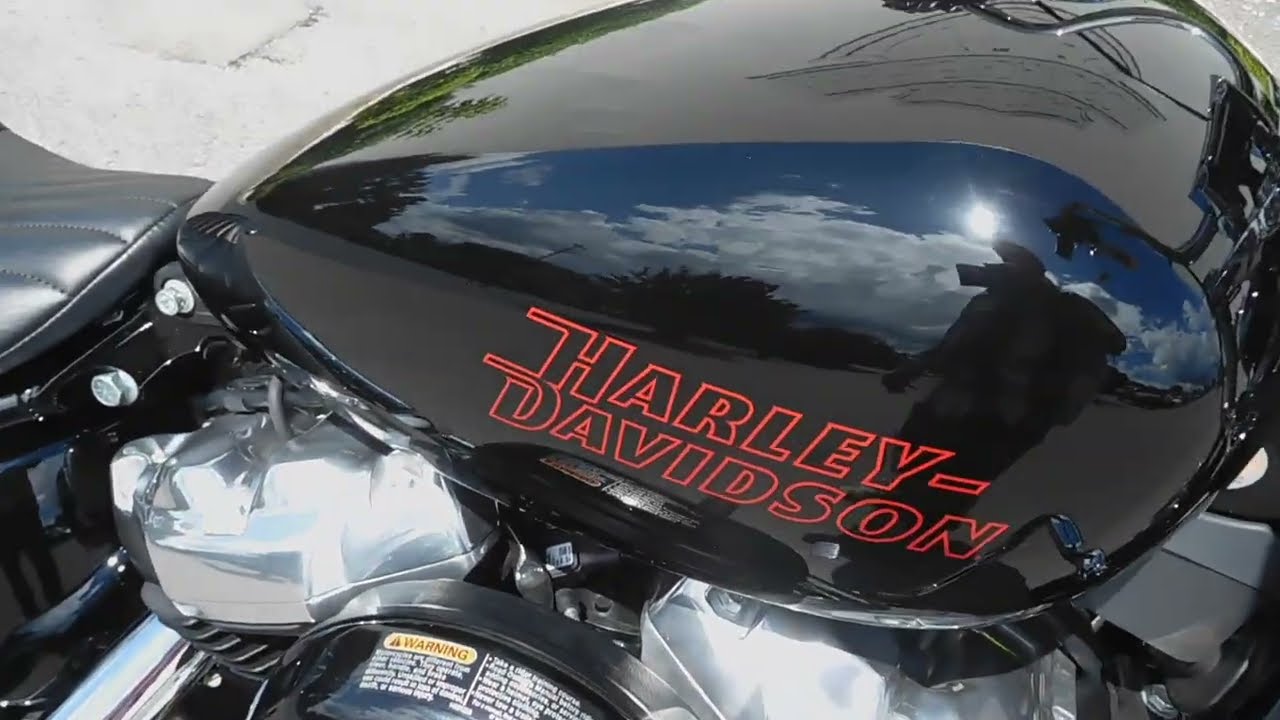 2024 Softail Standard