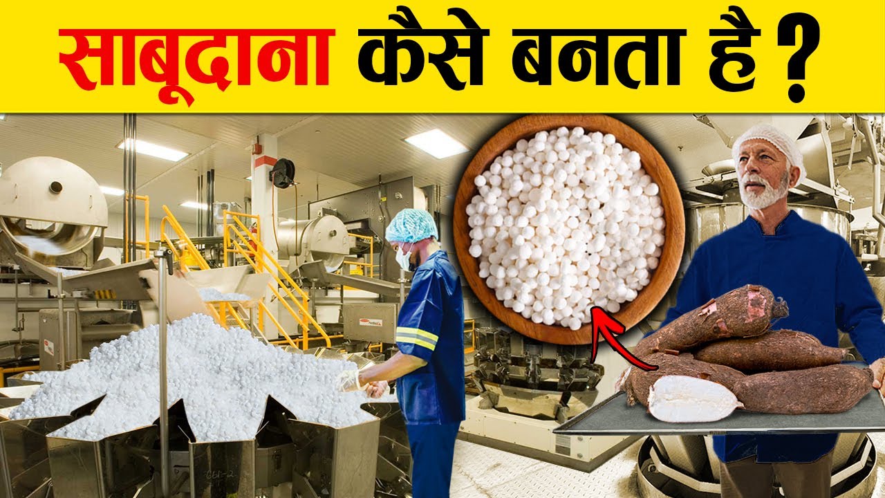 देखिए साबूदाना कैसे बनता है | Sabudana Making Process | How it's made Sago | Tapioca Making Process